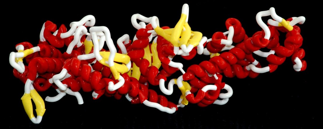 3d-print of protein