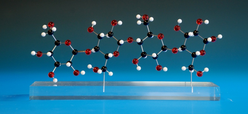 a molecular model of cellulose on an acrylic base