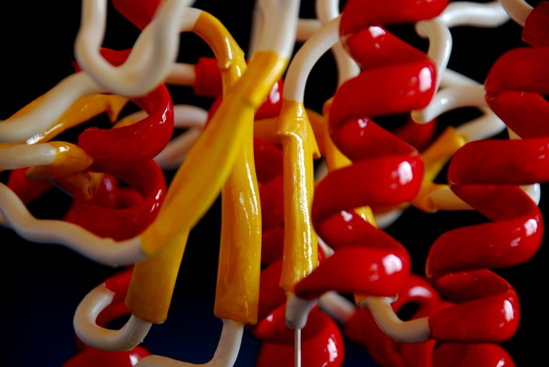 detail of a 3d printed protein model