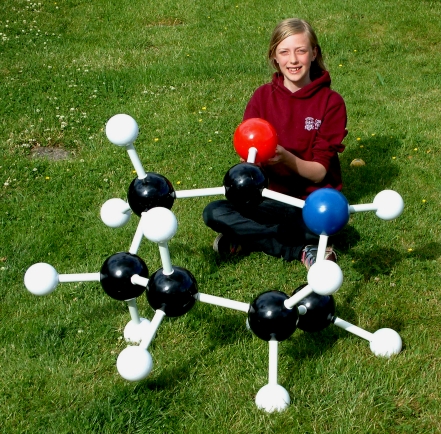A girl sitting behind a giant molecular model of caprolactam