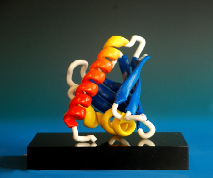 A hand painted 3d printed model of a protein with graduated shading