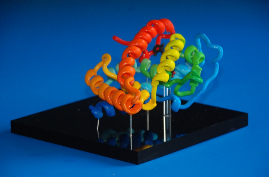 Hand painted 3d printed protein model with graduated colours