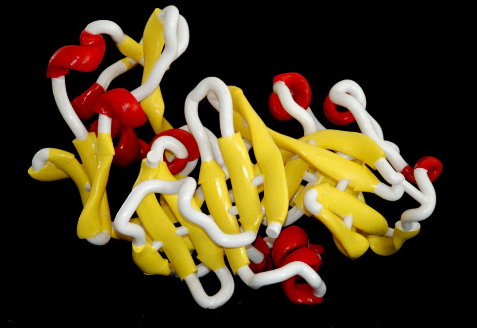 Hand painted 3d printed molecular model of the protein pepsin.