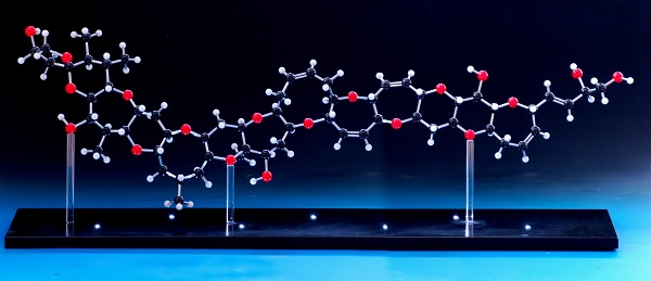 Molecular model with lighting on a slate base