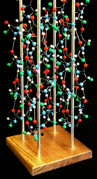 model of alpha helix molecules in a crystal, ounted on a wood base with aluminium support rods
