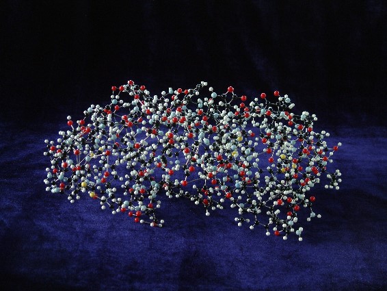 A full-atom molecular model of insulin made with acrylic balls and steel rods