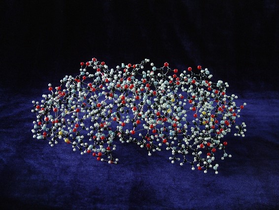 Giant molecular model