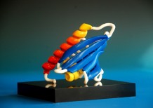 a 3d-printed protein showing graduated colouring