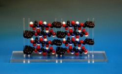 An array of FMOC molecules