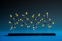 Cellulose
