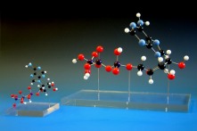 ATP - adenosine triphosphate